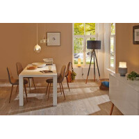 Filament 230V LED Birne E27 1521lm 11,5W 2700K Matt 3