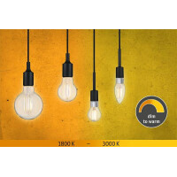 Filament 230V LED Birne E27 806lm 7W Dim to warm dimmbar Kla