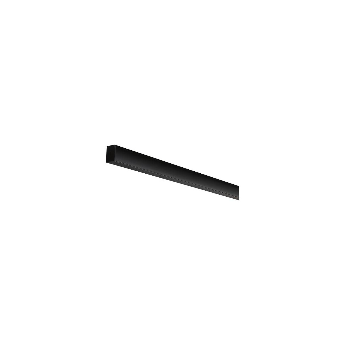 Square Profil in Schwarz und Schwarz-transparent 2000mm - Schwarz - Paulmann