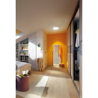 LED Panel Lunar rund 300mm 3000K Weiß matt 4