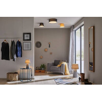Deckenleuchte Mari E27 230V max. 2x20W dimmbar Blau 3