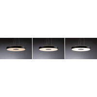 LED Pendelleuchte 3-Step-Dim Puric Pane 2700K 1.200lm / 1.40