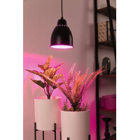 Neordic Pendelleuchte Hilla E27 max. 40W Schwarz dimmbar Met