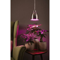 Neordic Pendelleuchte Hilla E27 max. 40W Eisen gebürste