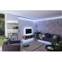 MaxLED 250 LED Strip Tunable White Basisset 1,5m beschichtet