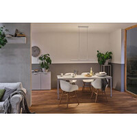 LED Pendelleuchte Lento 2700K 1800lm 42W Chrom matt dimmbar 