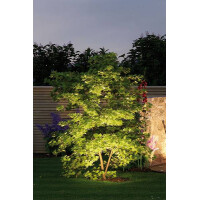Plug & Shine LED Gartenstrahler Sting Basisset IP67 3000
