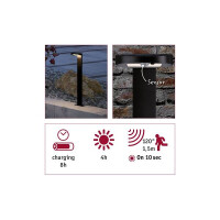 Solar LED Pollerleuchte Ryse Bewegungsmelder IP44 3000K 30lm