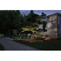 Plug & Shine LED Gartenstrahler Radix Einzelspot IP65 30