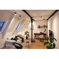 CorDuo Seilsystem Cone Einzelspot GU5,3 max. 10W 12V Schwarz