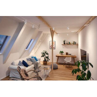 CorDuo Seilsystem Cup Einzelspot GU5,3 max. 10W 12V Wei&szli