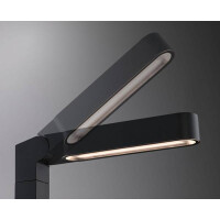 Plug & Shine LED Pollerleuchte Ito Einzelleuchte Vertika