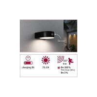 Solar LED Außenwandleuchte Eileen Bewegungsmelder IP44