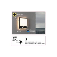 LED Außenpanel Lamina Backlight Bewegungsmelder seewas