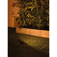 Plug & Shine LED Gartenstrahler Sting Einzelspot Insekte