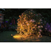 Plug & Shine LED Gartenstrahler Sting Einzelspot Insekte
