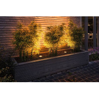 LED Bodeneinbauleuchte Goldlicht insektenfreundlich IP65 110
