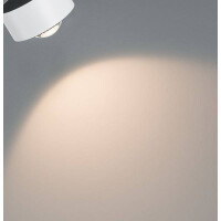 URail LED Schienenspot Aldan Einzelspot 498lm 8W 2700K dimmb