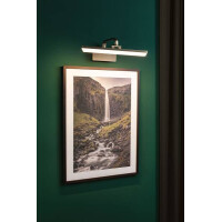 LED Bilderleuchte Renan 3000K 600lm 230V 9,5W Altmessing 3