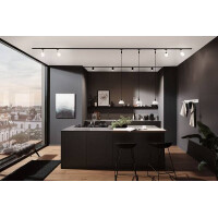 URail Pendel Sarrasani E14 max. 20W dimmbar 230V Schwarz mat