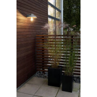 Wandleuchte Mani, grau, klares Glas 3