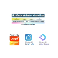 Sauna Smart Home Einbaustrahler Saunawelten  RGBAW IP65 4