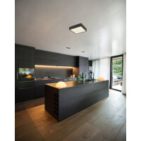 Echo Deckenleuchte Metall Schwarz Matt, Led 2