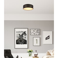 Globo 15342D1 Tunno Deckenleucht gallery 1_2nd