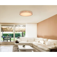Rainer Deckenleuchte Metall Holzoptik, Led 2