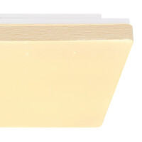 Raina Deckenleuchte Metall Weiß, Led 5