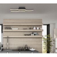 Kasimir Deckenleuchte Metall Schwarz Matt, Led 2