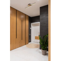 Evita Deckenleuchte Metall Schwarz, Led 2
