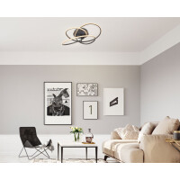 Panda Deckenleuchte Metall Schwarz Matt, Led 2