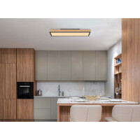 Doro Deckenleuchte Aluminium Graphit, Led 2