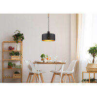 Rielly Hängeleuchte Metall Schwarz Matt, 1X E27 2