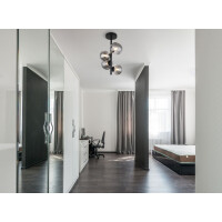 Riha Deckenleuchte Metall Schwarz Matt, 4X G9 Led 2