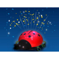 Nachtlicht Beetlestar 2