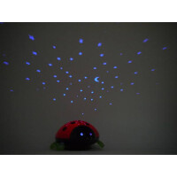 Nachtlicht Beetlestar 4