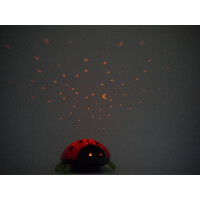 Nachtlicht Beetlestar 5