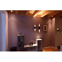 Apodis 500 Wandaufbauleuchte IP20 Roségold 3