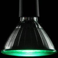 LED PAR 38 Reflektor grün E27 18W 660LM 2