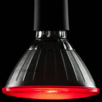 LED PAR 38 Reflektor rot E27 18W 85 lm 2
