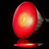 LED PAR 38 Reflektor rot E27 18W 85 lm 3