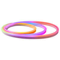 Govee Neon Rope 2 meter Smart Home 2