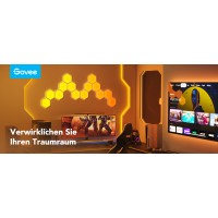 Govee Glide Hexa Light Panel 2er Set 8