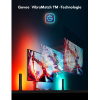 Govee PC Monitor Backlight + Light Bar 6