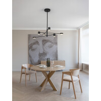 Nova Luce 9080121 Nordik LED Pendelleuchte Schwarz 2
