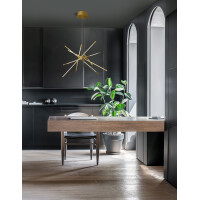Nova Luce 9180782 Raccio LED Pendelleuchte Messing Gold 2