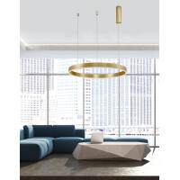 Nova Luce 9190648 Motif LED Pendelleuchte Messing Gold 2