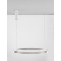 Nova Luce 9345666 Elowen LED Pendelleuchte Silber gebür